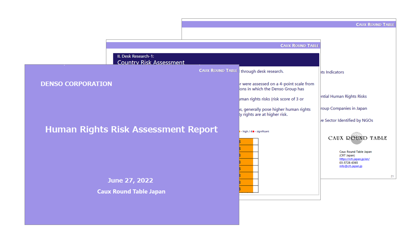 humanrights-img-human-risk-assessment-report-en
