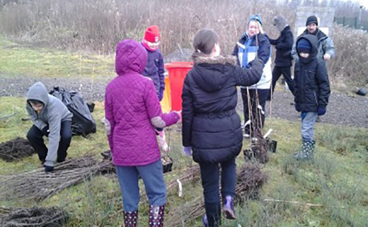 Eco Garden (DMUK: UK)