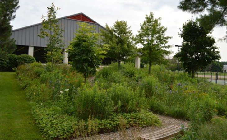 Wild Flower Garden (DMMI: United States)