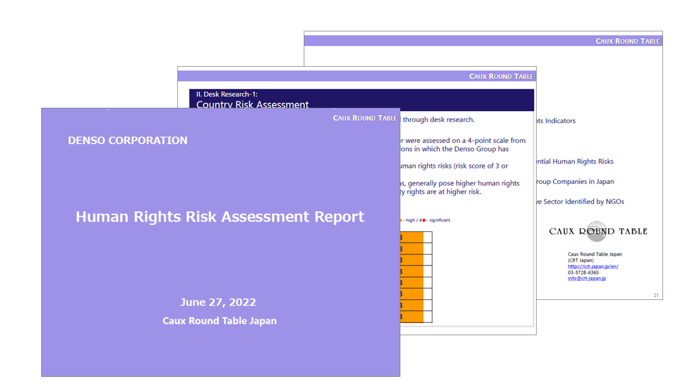 Human Rights Risk Analysis humanrights-img-human-risk-assessment-report-en