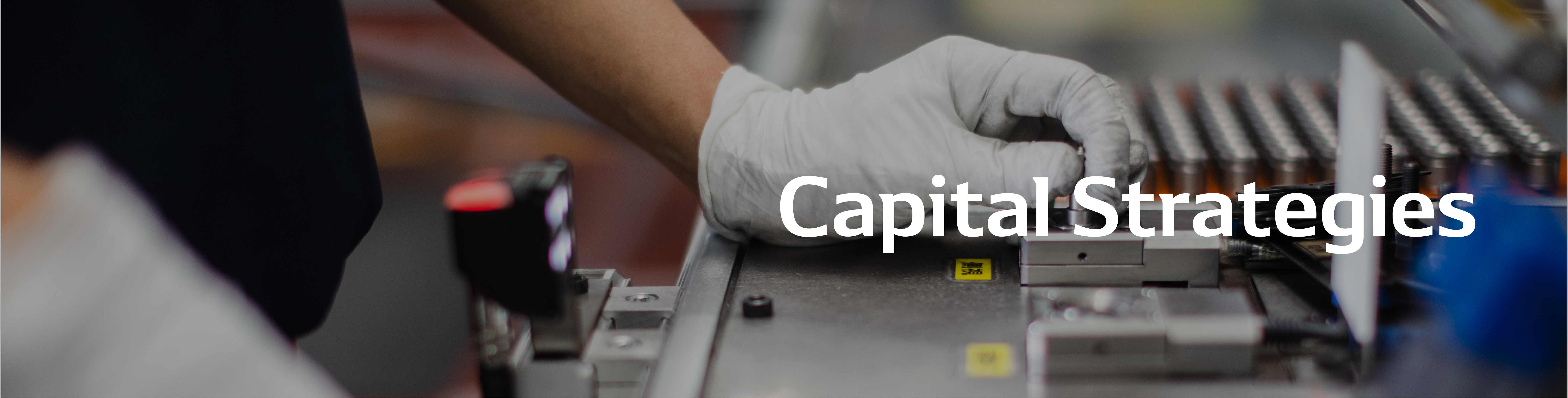 banner03_capital-strategies-en