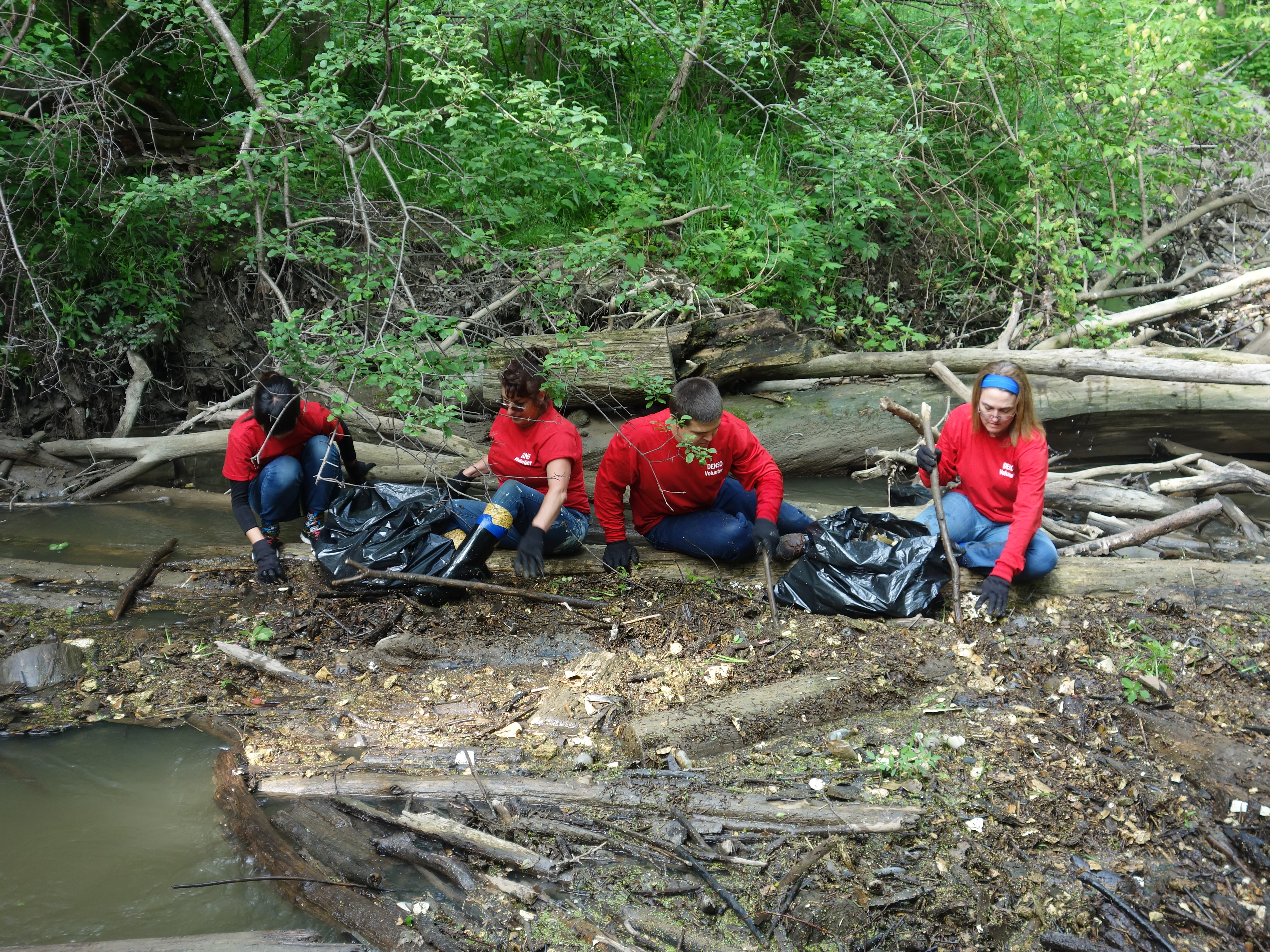 Sustainability activity