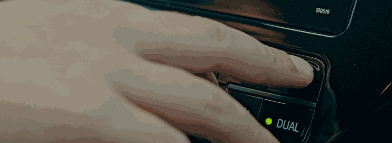 拯救地球 | 电装挑战“森林数据化”，应对全球温室效应