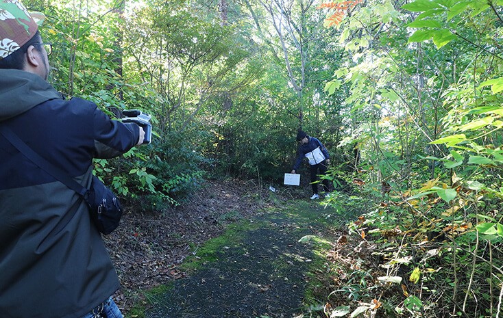 拯救地球 | 电装挑战“森林数据化”，应对全球温室效应
