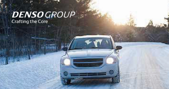 group-img-color-white-02