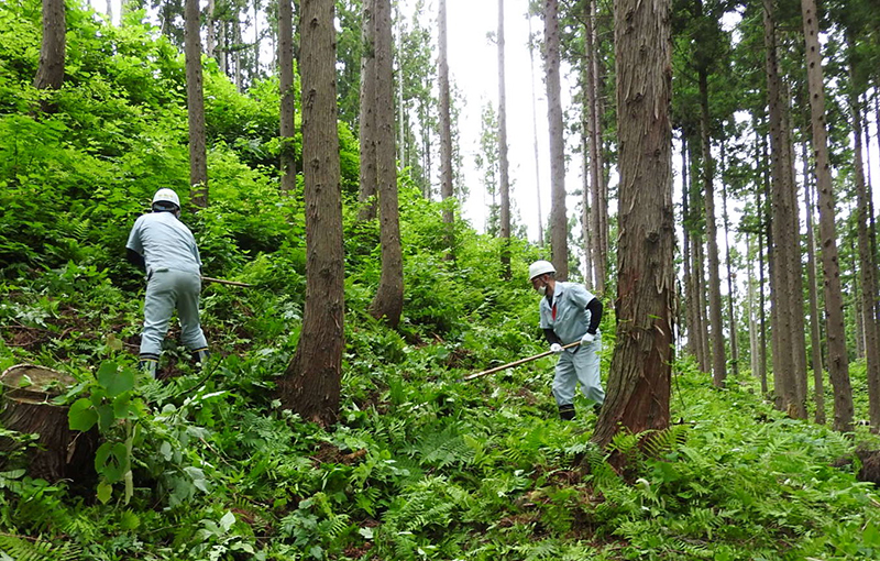 forest_conservation-YAMAGATA