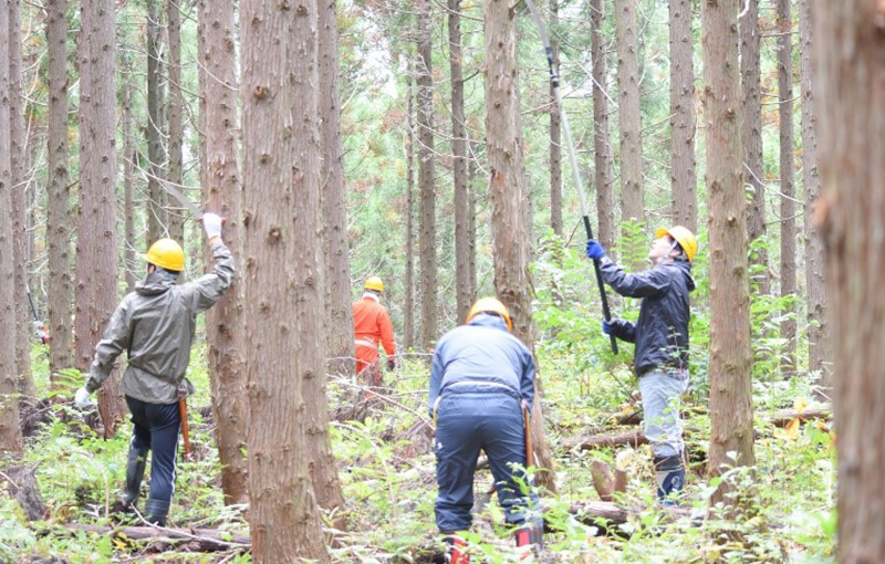 forest_conservation-IWATE