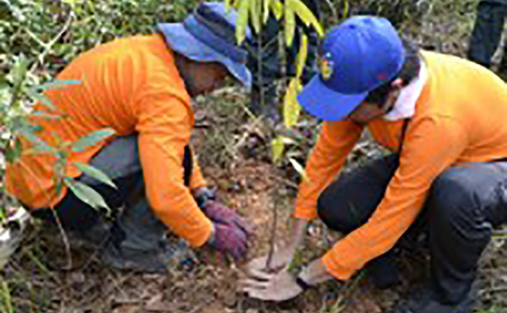 mangrove_planting-DNMY