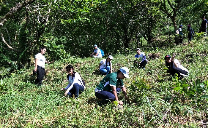 mount_making_tree_planting