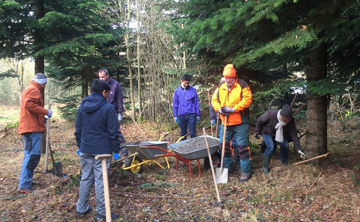 tree_planting_activity