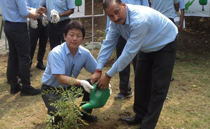 tree_planting_activity