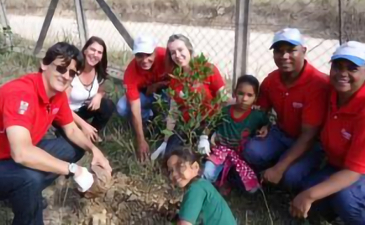 tree_planting_activity