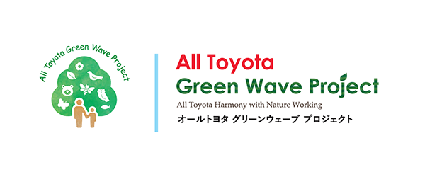 all toyota