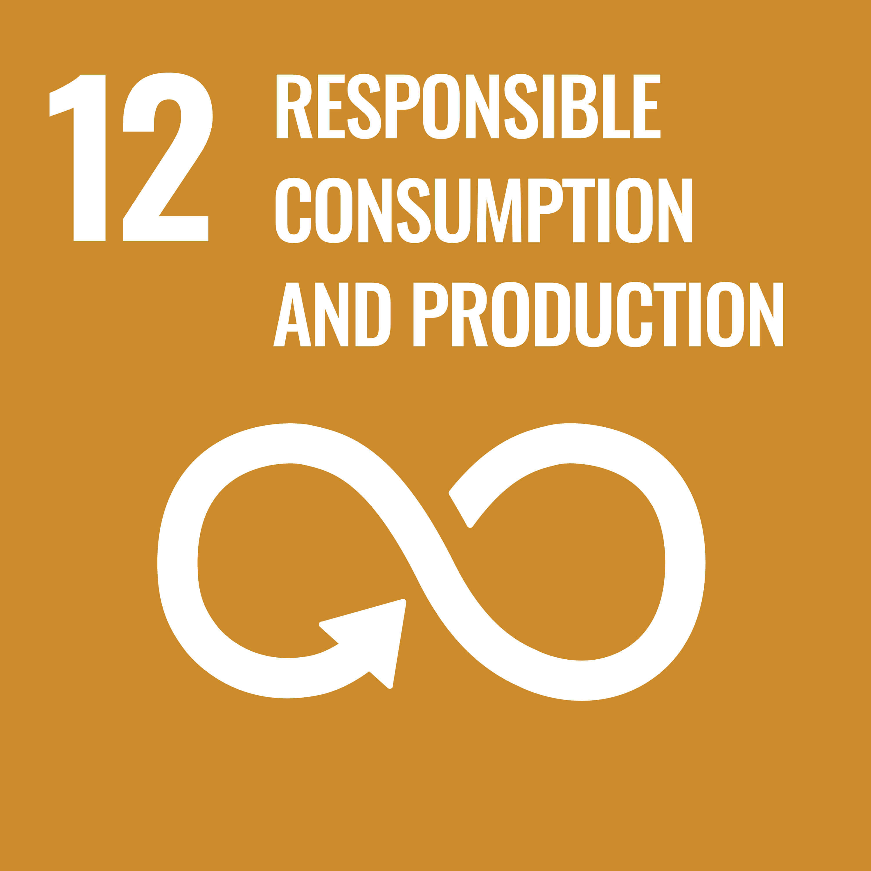 sdgs-img-sdgs12-en