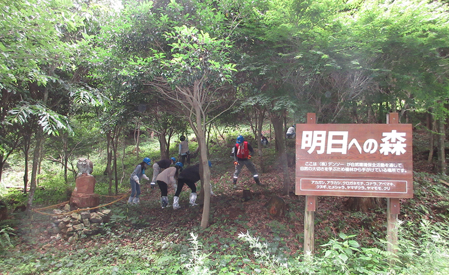 Forests for Tomorrow