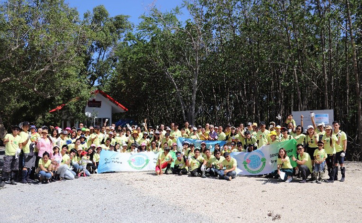 mangrove_tree_planting_activity