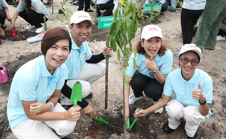 mangrove_tree_planting_activity