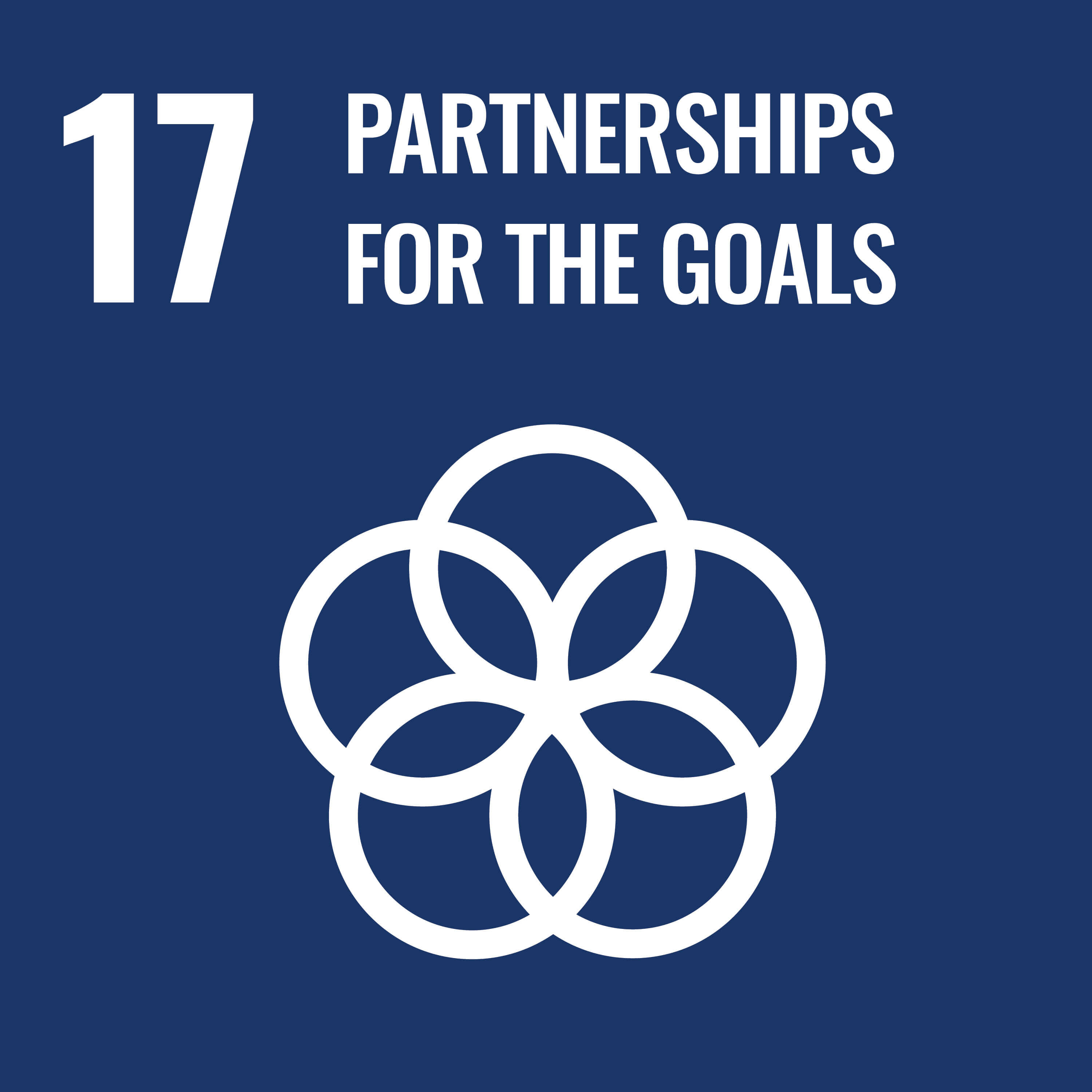 sdgs-img-sdgs17-en