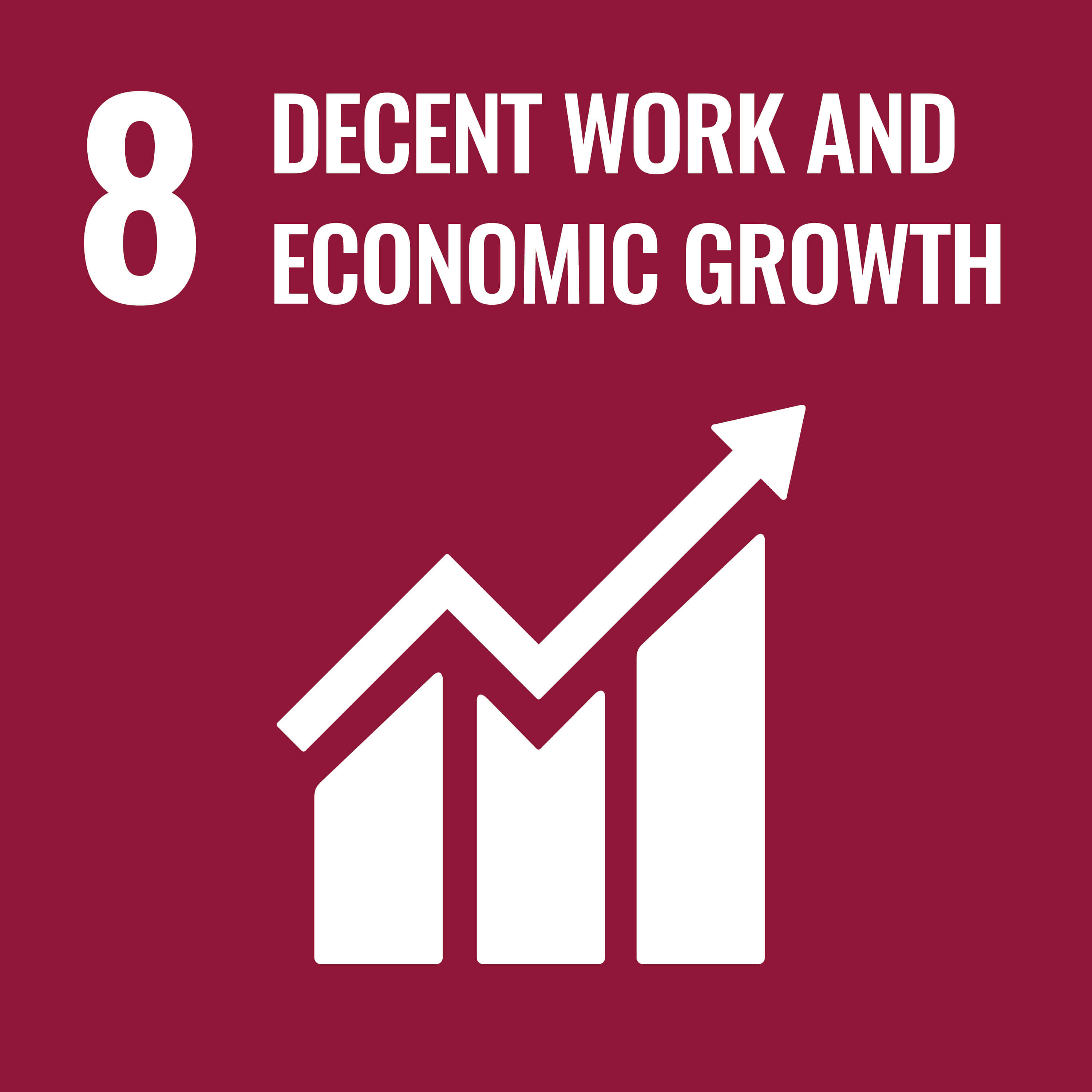 sdgs-img-sdgs8-en
