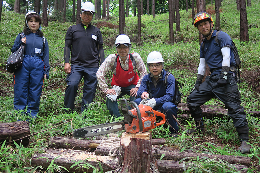 The DENSO Green Project