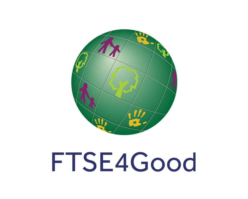 evaluation-img-ftse4-good
