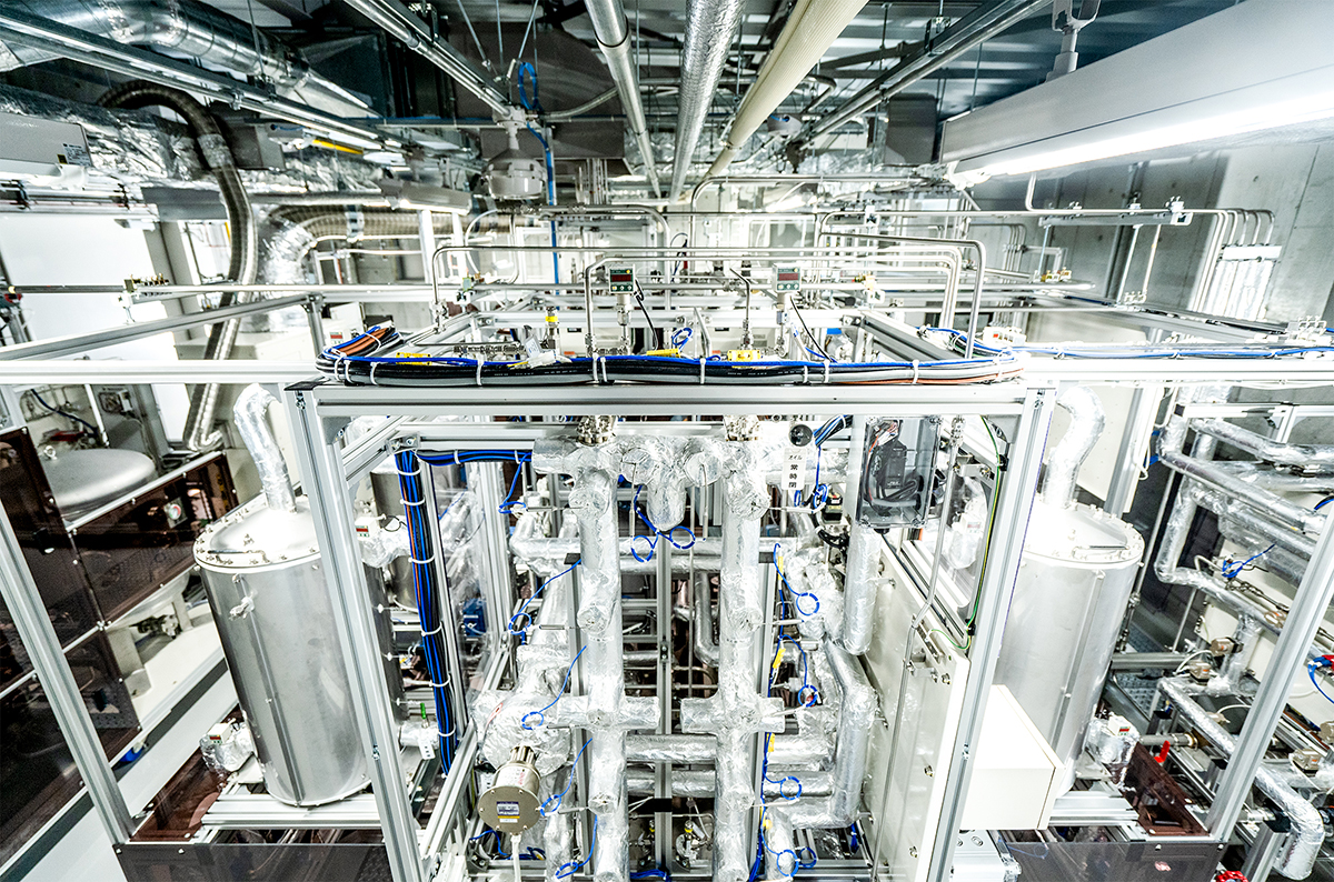 View from inside the plant