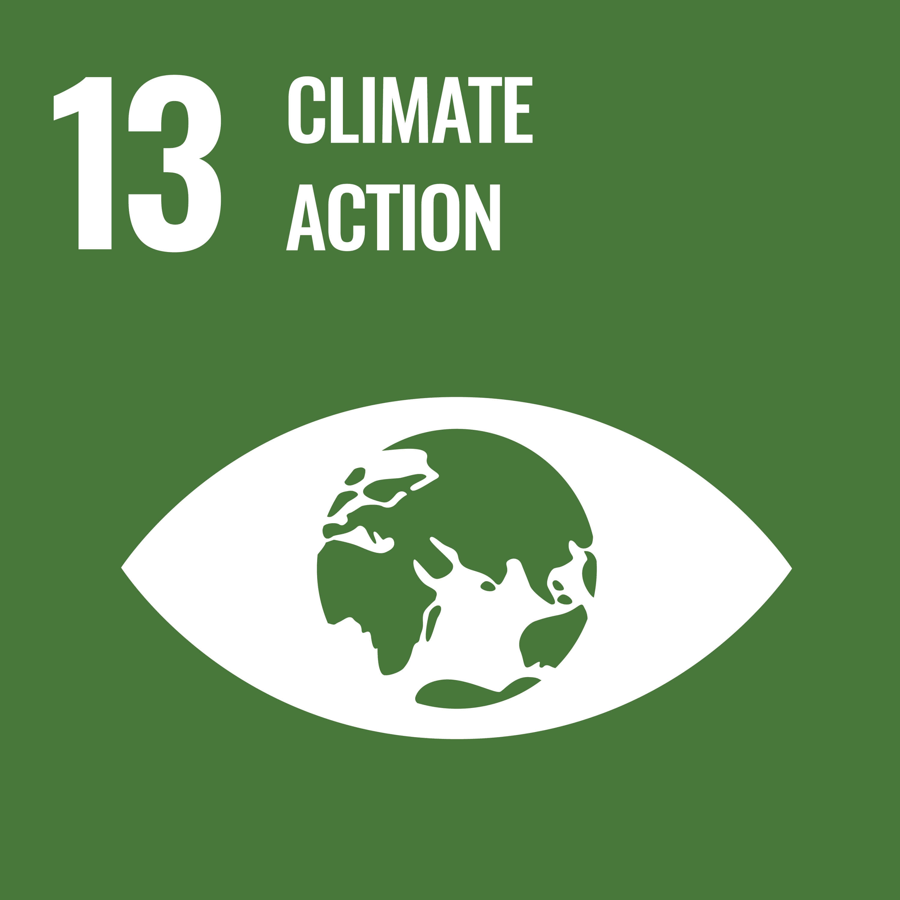 sdgs-img-sdgs13-en