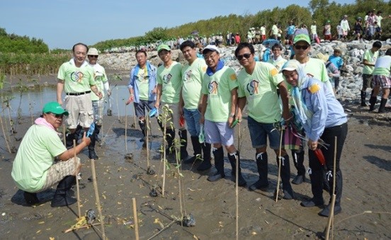 Mangrove planting activities
