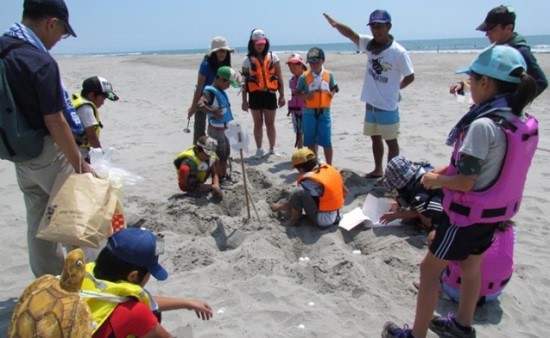 Loggerhead turtle protection activities
