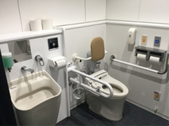 Multi-purpose toilets