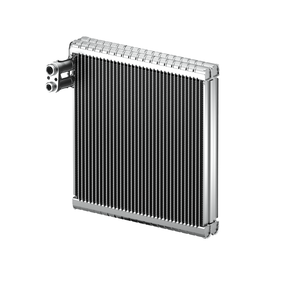 RS Evaporator