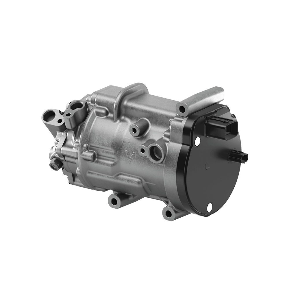 Electric Compressor with Gas Injection Function
