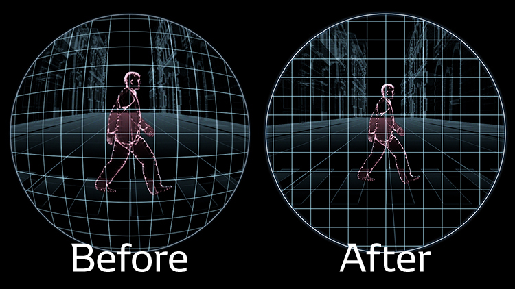 Distortion Correction Lens