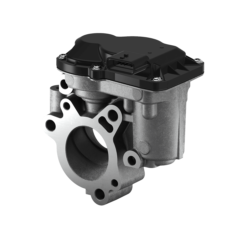 Exhaust Gas Recirculation (EGR) Valve