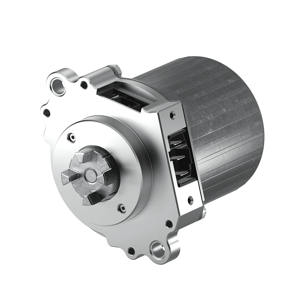 Electric Power Steering Motor