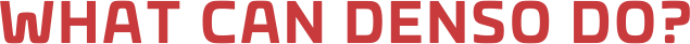 WHAT CAN DENSO DO?