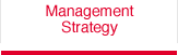 Management Strategy