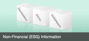 Non-Financial (ESG) Information
