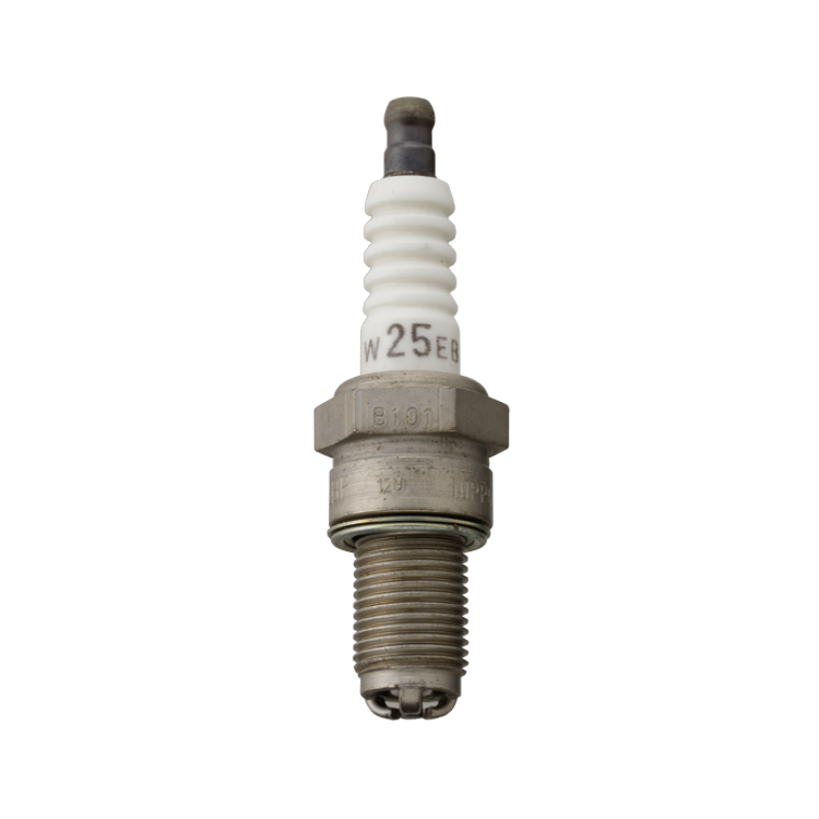 3-electrode plug