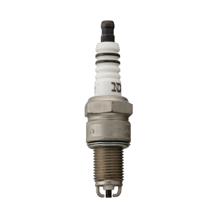 Double-electrode plug