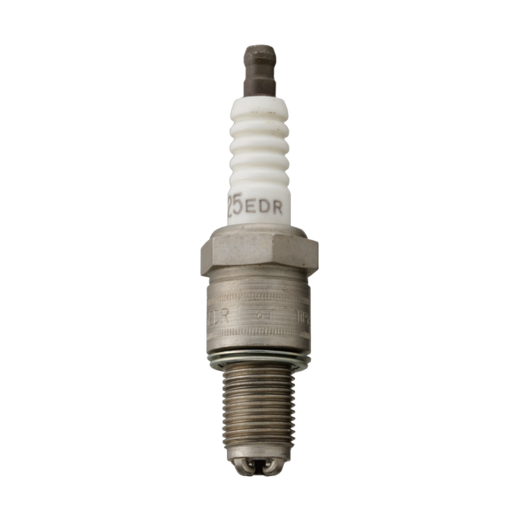 4-electrode plug