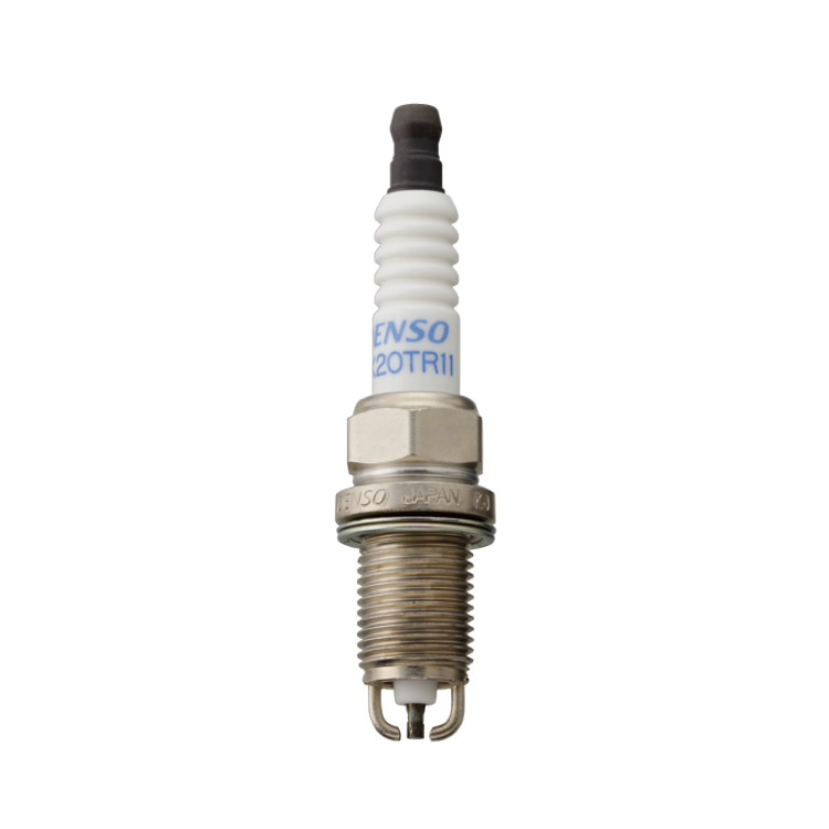 Double-electrode Platinum plug