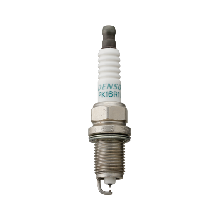 Double needle Iridium plug