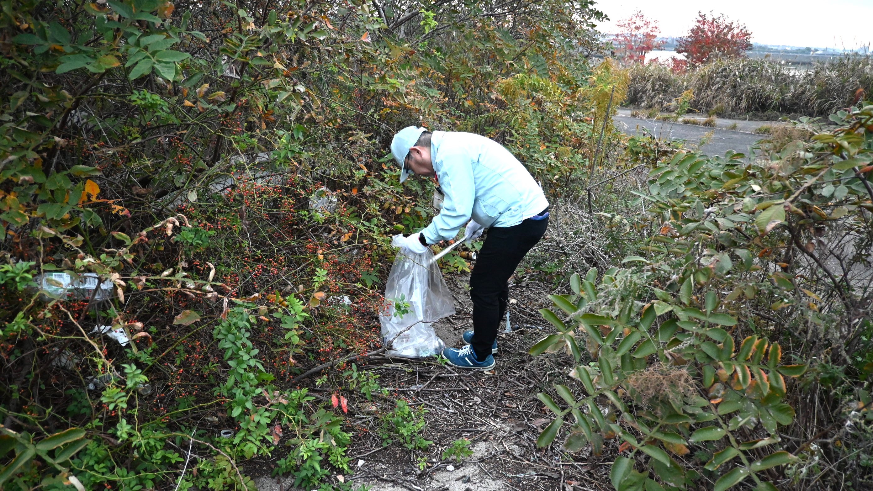 2025高浜一斉清掃下期04