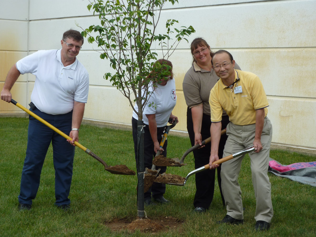 Tree planting
