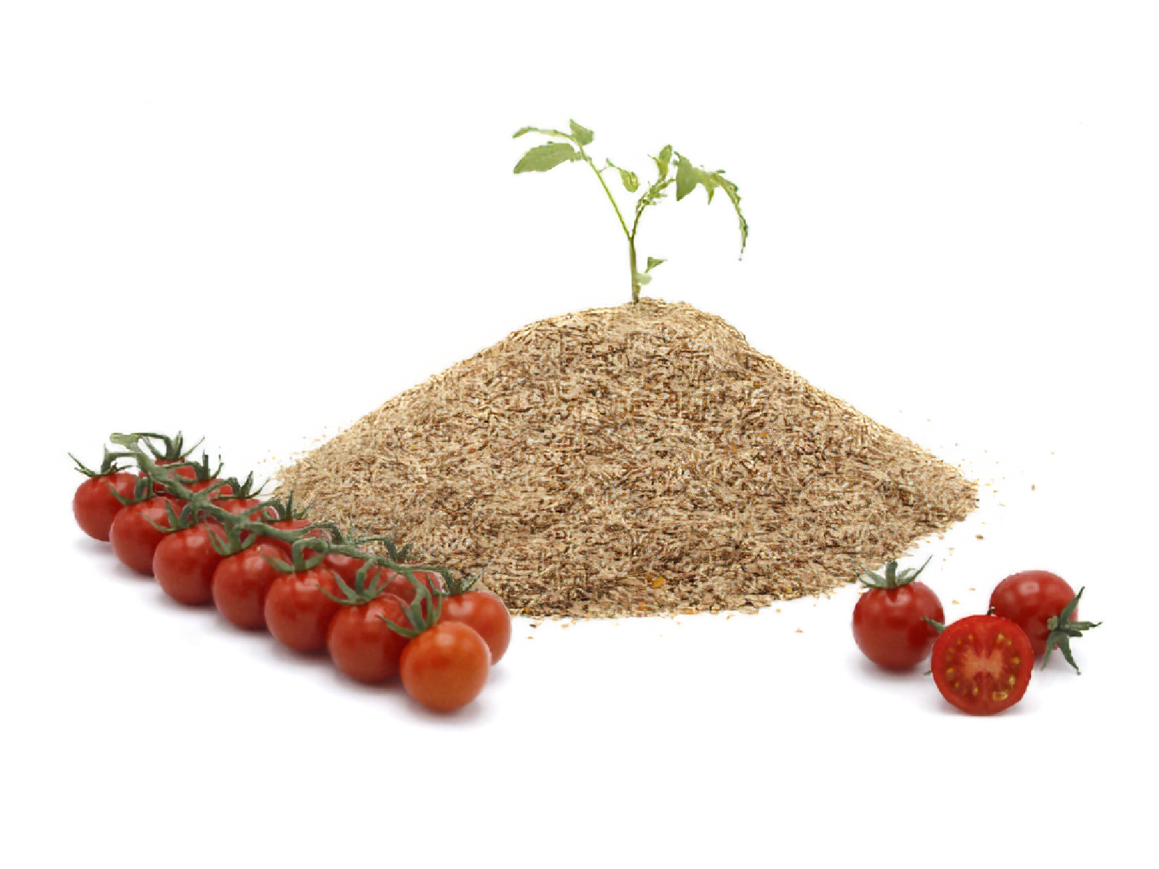 FVC seeding main product