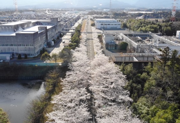 デンソー大安製作所