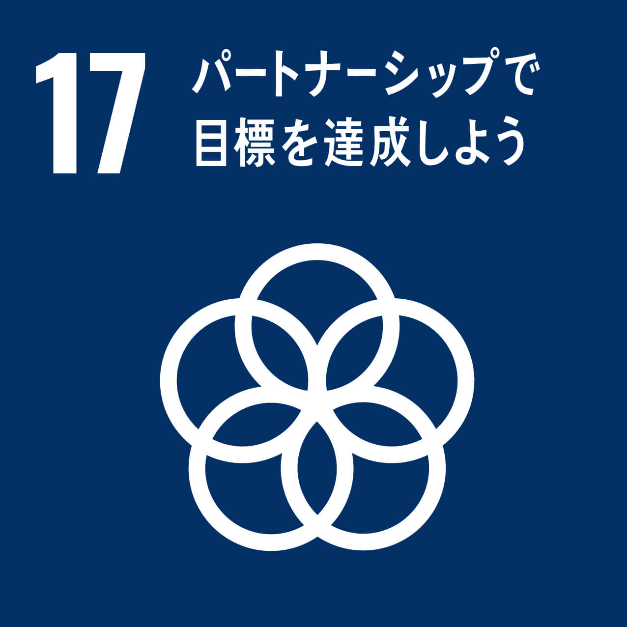 sdgs-img-sdgs17-ja