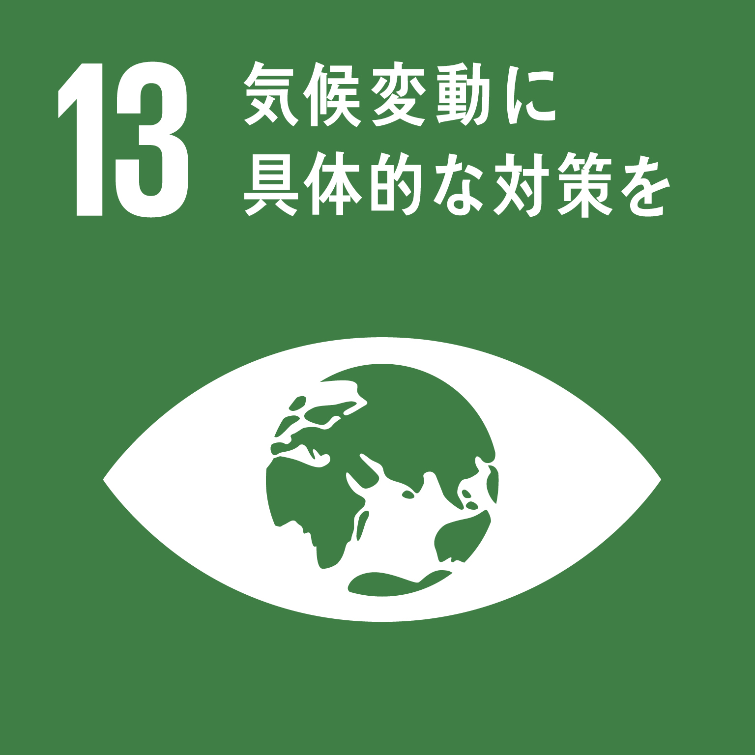 ゴール13