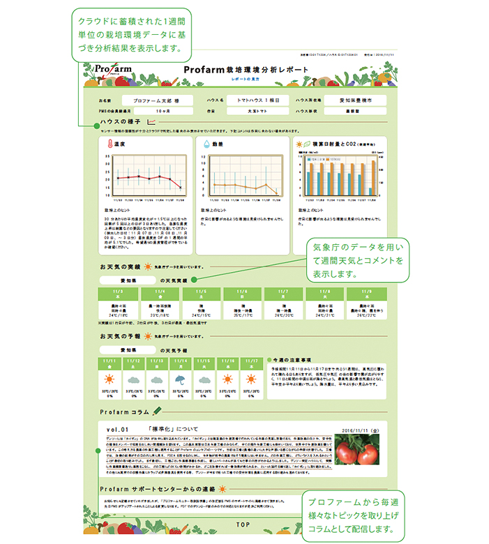 栽培環境分析レポート